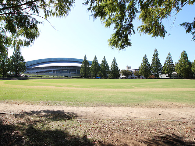 ふれあいグラウンド